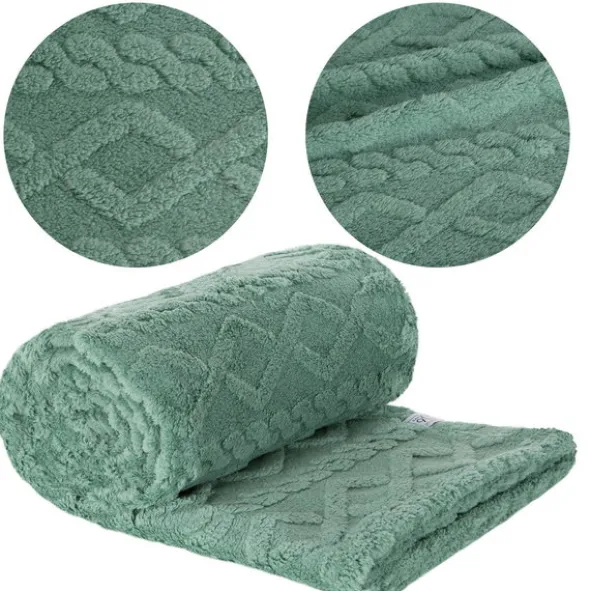 Koc 200 x 220 Design Mikrofibra Warkocz Mięta